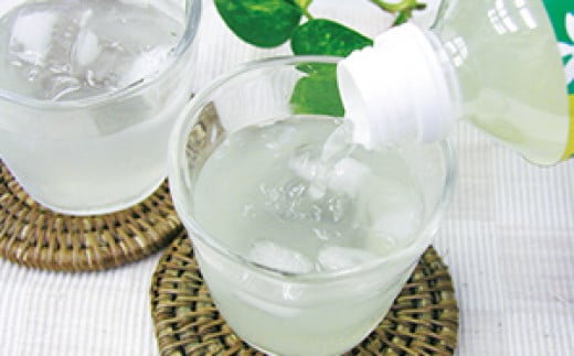 ほっとひといき　ゆずごこち（ゆずドリンク）12本セット