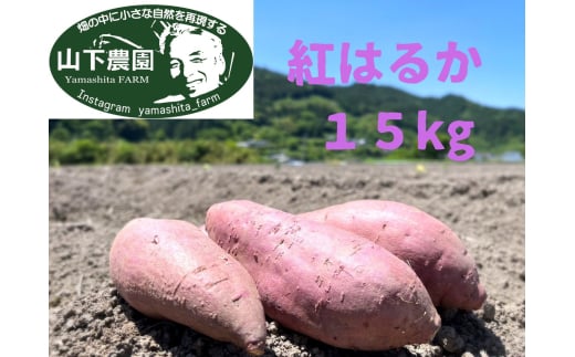 自然のままに。山下農園の超自然農法で育ったさつまいも（紅はるか）15kg