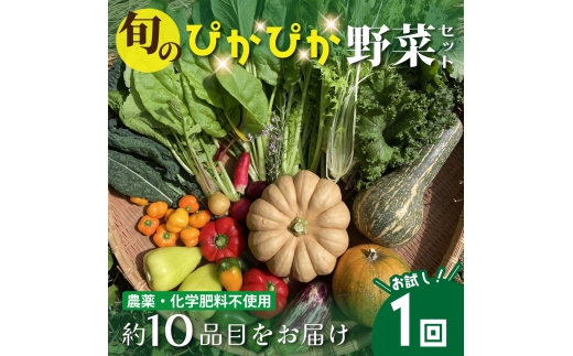 農薬化学肥料不使用 雲の上ガーデンのぴかぴか野菜セット【お試し便】季節にあわせて10品目前後をお届け【L001】季節 旬 詰め合わせ 採れたて 新鮮 産地直送 高知県産 冷蔵便