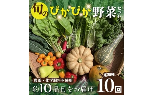 農薬化学肥料不使用 雲の上ガーデンのぴかぴか野菜セット(10回お届け)季節にあわせて10品目前後を毎月お届け【L003】季節 旬 詰め合わせ 採れたて 新鮮 産地直送 高知県産 冷蔵便 定期便