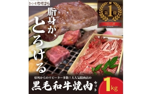 低温でも脂身がとろける梼原町産黒毛和牛 丸かじり焼肉セット(500g)【GA01】牛肉 焼肉 焼き肉 やきにく 国産 高知県産 冷凍便