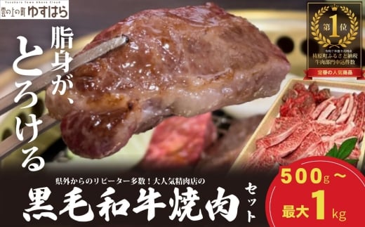 低温でも脂身がとろける梼原町産黒毛和牛 丸かじり焼肉セット(1kg)【GA02】牛肉 焼肉 焼き肉 やきにく 国産 高知県産 冷凍便