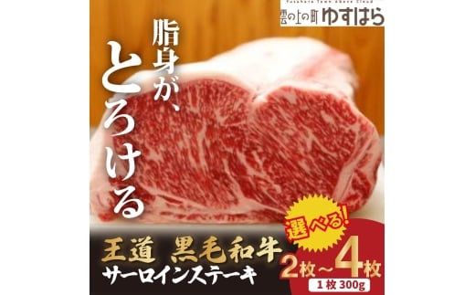 低温でも脂身がとろける梼原町産黒毛和牛 王道サーロインステーキ(2枚)【GA04】ステーキ すてーき ステーキ肉 すてーき肉 牛肉 国産 高知県産 冷凍便