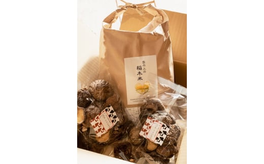 四万川セット（雲の上の稲木米5kg+四万川産原木栽培干ししいたけ90ｇ×2袋）