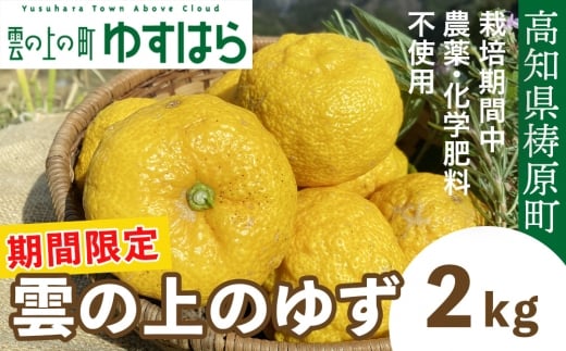 【期間限定】雲の上の黄金ゆず(2kg)ユズ 柚子 農薬化学肥料不使用 果物 柑橘 産地直送 ゆずジャム ゆず茶 高知県産 常温便