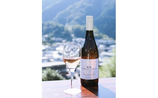梼原　マスカット・ベーリーA　ROSE  tosa cavatina ワイン ロゼワイン 国産 750ml 辛口 おもてなし お祝い ギフト