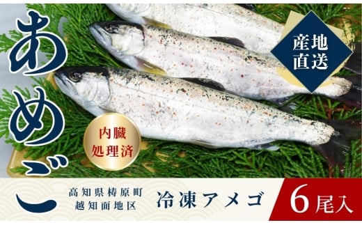 四万十川源流域の清流で育ったゆすはらアメゴ(6匹入り) アメゴ アマゴ 四万十川 清流 手作業 急速冷凍 川魚 養殖 新鮮 塩焼き ICT デジタル化