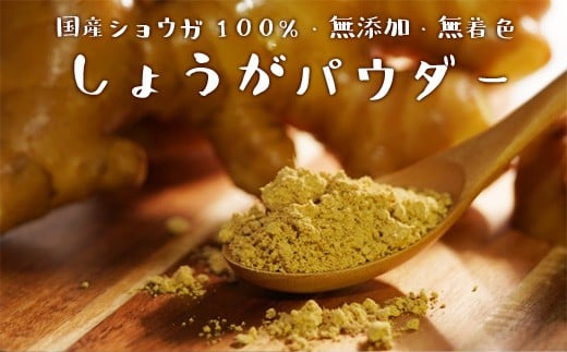 生姜パウダー 農家が作る生姜100%パウダー 25g×4袋 無添加 保存料不使用 しょうが粉末 しょうがパウダー