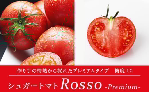 【先行予約・2026年2月】シュガートマト ロッソプレミアム10 糖度10度以上 1kg 高知県産 フルーツトマト 高糖度トマト 甘いトマト 日高村 特産品 JA