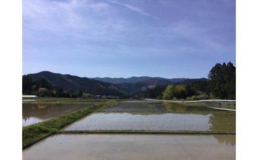 4．心やすらぐ自然や風景を守る事業