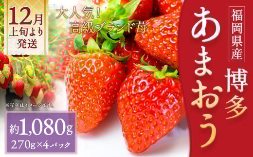 いちご「 あまおう 」 約270g×4パック 計約1,080g 【2025年12月上旬~2026年1月下旬発送予定】