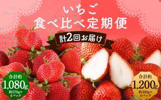 [全2回定期便]数量限定 フルーツ定期便 いちご 2品種 食べ比べ ( あまおう ・ かおり野 ) 合計約2.28kg [2026年1月下旬から3月下旬まで順次発送予定]