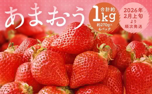 福岡県産 あまおう 合計約1,080g 約270g×4パック 【2026年2月上旬~2月下旬迄発送】