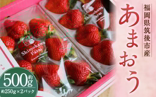 特別栽培の濃厚完熟あまおう 約500g 約250g×2パック【2026年1月上旬から3月下旬発送予定】 苺 いちご あまおう 果物 フルーツ 福岡県