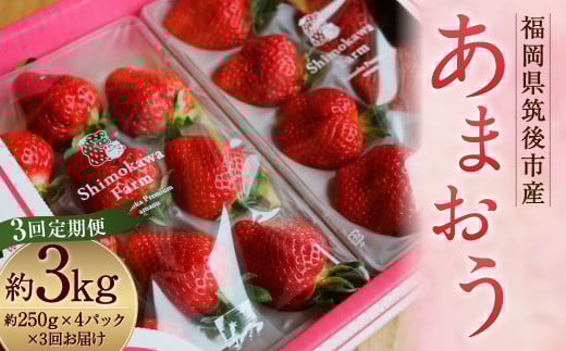 【3回定期便】 特別栽培の 濃厚 完熟 あまおう 約1kg 約250g×4パック【2026年1月上旬から3月下旬発送予定】 苺 いちご 果物 フルーツ 福岡県