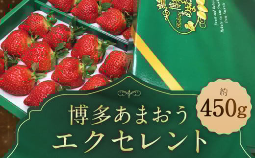 [期間限定] 博多 あまおう いちご エクセレント 約450g×1パック 苺 イチゴ 果物 フルーツ [2026年1月下旬〜2月下旬順次発送予定]