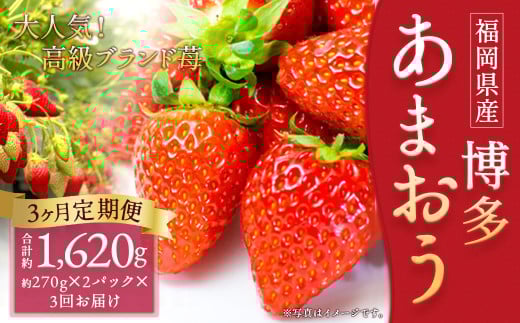 [3回定期便]いちご「あまおう」 約270g×2パック 計約1.62kg 苺 イチゴ 果物 フルーツ [2026年1月上旬順次発送開始予定]