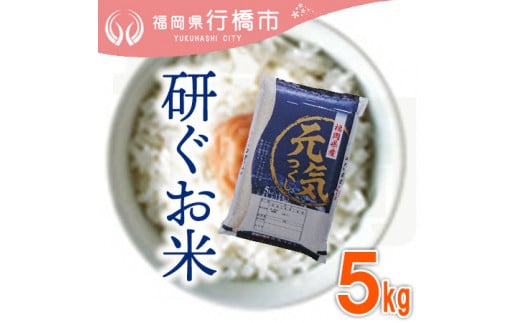 AF-018　福岡県産元気つくし【研ぐお米】5kg