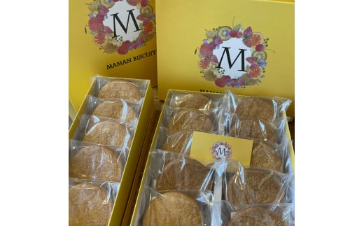 CI-003 ママン・ビスキュイ　L箱（１5枚入）