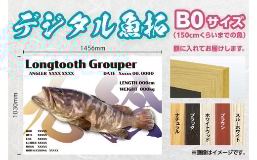 CM-016 【B０・デジタル魚拓】メモリアルフィッシュを釣れたてのままに。