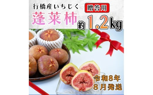 AO-025_【予約・令和８年夏発送】行橋産いちじく（蓬莱柿）贈答用　1箱