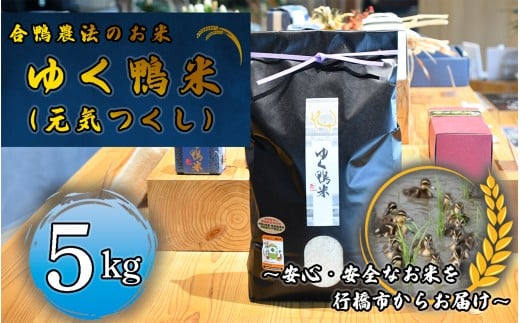 CB-005_合鴨農法のお米「ゆく鴨米」(元気つくし)5kg~安心・安全なお米を行橋市からお届け