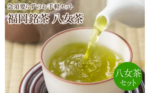 福岡銘茶八女茶　急須要らずのお手軽セット【001-0088】