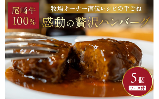 牧場オーナー直伝レシピの手ごね感動の贅沢ハンバーグ180g(ソース別)5個【069-0005】