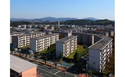 都市ブランド、定住化の推進又は団地再生