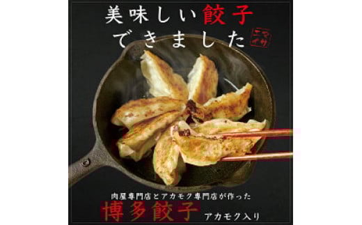 博多餃子アカモク入り 80個【マサエイ水産加工】_HA0581