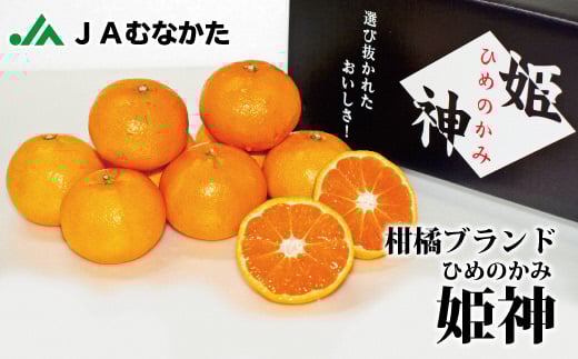 急速冷凍!冷凍みかん JAむなかた柑橘ブランド「姫神」2kg 甘くておいしいみかん【JAほたるの里】_HA0269
