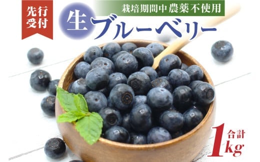 栽培期間中農薬・有機肥料で丹精込めて栽培した「ブルーベリー」1kg 国産【JAほたるの里】_HA0273