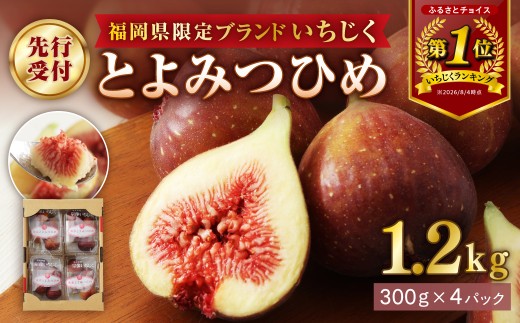 【寄附額改定!】プレミアムいちじく とよみつひめ　1.2kg【JAほたるの里】_HA0278 | いちじく イチジク とよみつひめ フルーツ 果物