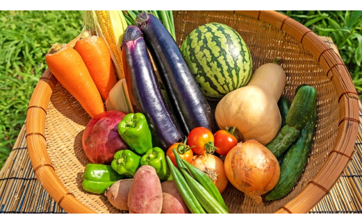 【一週間以内に発送】宗像とれたて 野菜・たまごセット【オアシス】_HA0778