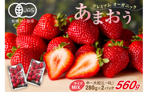 【先行予約】オーガニックあまおう「いせいちご」2パック(280g×2)【伊世いちご畑】_AS1116-00