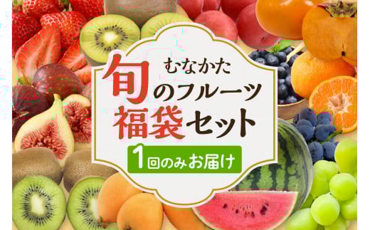 何が届くかお楽しみ!むなかた旬のフルーツ福袋セット【JAほたるの里】_HA1541