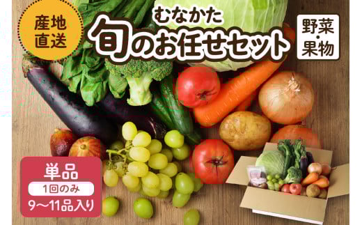 むなかた旬のお任せ セット(野菜・フルーツ)9～11品【JAほたるの里】_HA1570