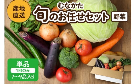 むなかた旬のお任せセット(野菜) 7～9品【JAほたるの里】_HA1569
