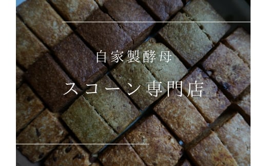プラリネバターサンドと自家製酵母スコーン【たねのおやつ】_HA1674