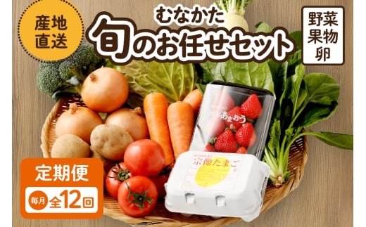 【毎月お届け】むなかた旬のお任せセット(野菜・フルーツ・卵) 9~11品【JAほたるの里】_HB0194