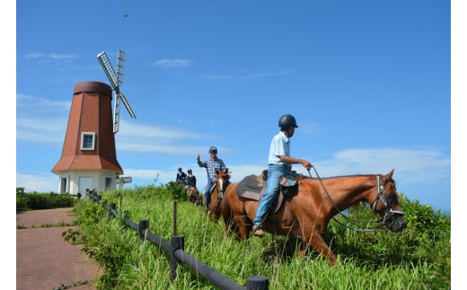 大島乗馬体験チケット【カナディアンキャンプ乗馬クラブ】_HA1711