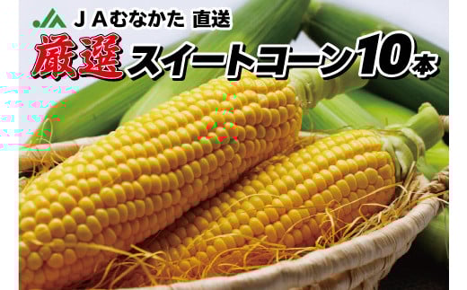 JAむなかた直送「厳選スイートコーン」2Lサイズ以上 10本入り【JAほたるの里】_HA0272