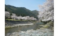 みどりが輝くふるさとづくりに関する事業