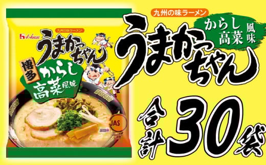 うまかっちゃん　博多からし高菜風味　30食（5食入り×6パック）[Ｍ244-2]　ラーメン 豚骨 インスタント 乾麺 即席麺 拉麺 保存食 九州