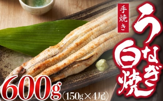 九州産手焼きうなぎ白焼き 4尾（約600g） [M829-1]