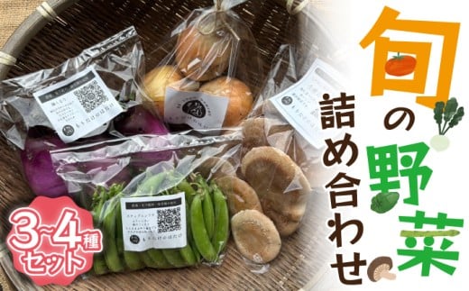 旬の野菜詰め合わせ 3〜4種セット Ｍ818 MUSHA 季節 野菜 果物 詰め合わせ 九州 福岡 宮若市 ふるさと納税 おすすめ