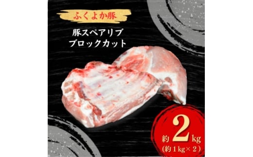 工場直送・鮮度抜群・ダイナミック　＜ふくよか豚＞豚スペアリブブロックカット2枚　約2kg_豚スペアリブブロックカット2枚　約2kg　豚スペアリブ 豚肉 ブタ肉 ぶた肉 塊肉 ブロック肉 お肉 スペアリブ ふくよか豚 BBQ 煮込み料理 アウトドア 冷蔵【1028580】