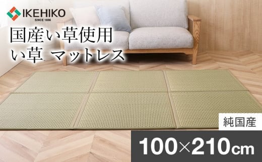 い草マットレス フレア シングル(グリーン) AA069