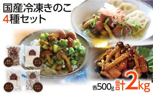 冷凍きのこセット500g×4(博多すぎたけ・しめじ・えのき・エリンギ) AU03