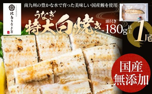 うなぎの白焼(1尾)頭付き180g以上 AE02